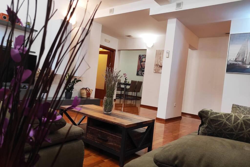 Spacious Near Center And The Apartament Split
