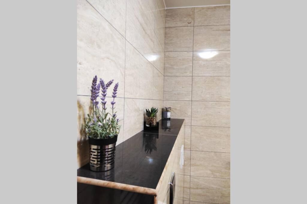 Apartament Spacious Near Center And The